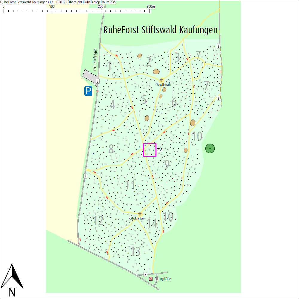 &Uuml;bersichtskarte zu Baum 735