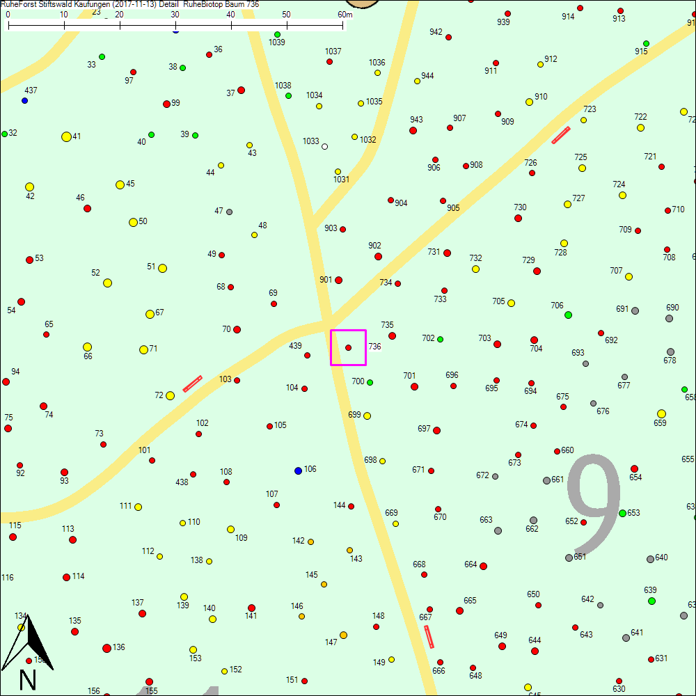 Detailkarte zu Baum 736