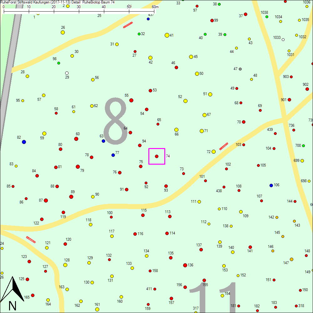 Detailkarte zu Baum 74
