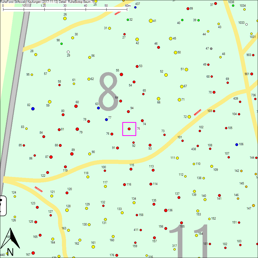Detailkarte zu Baum 75