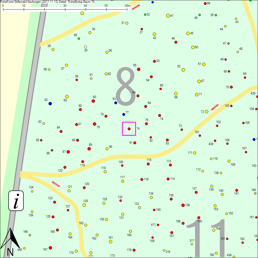 Detailkarte zu Baum 76