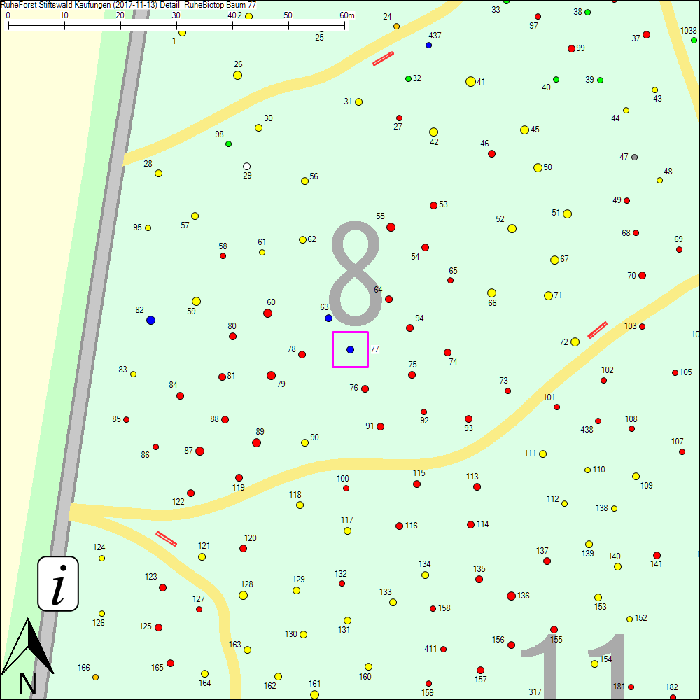 Detailkarte zu Baum 77
