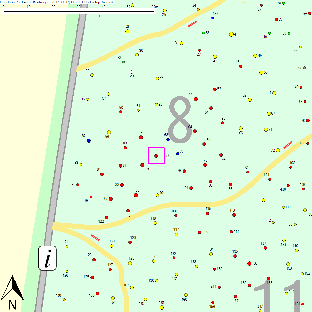 Detailkarte zu Baum 78