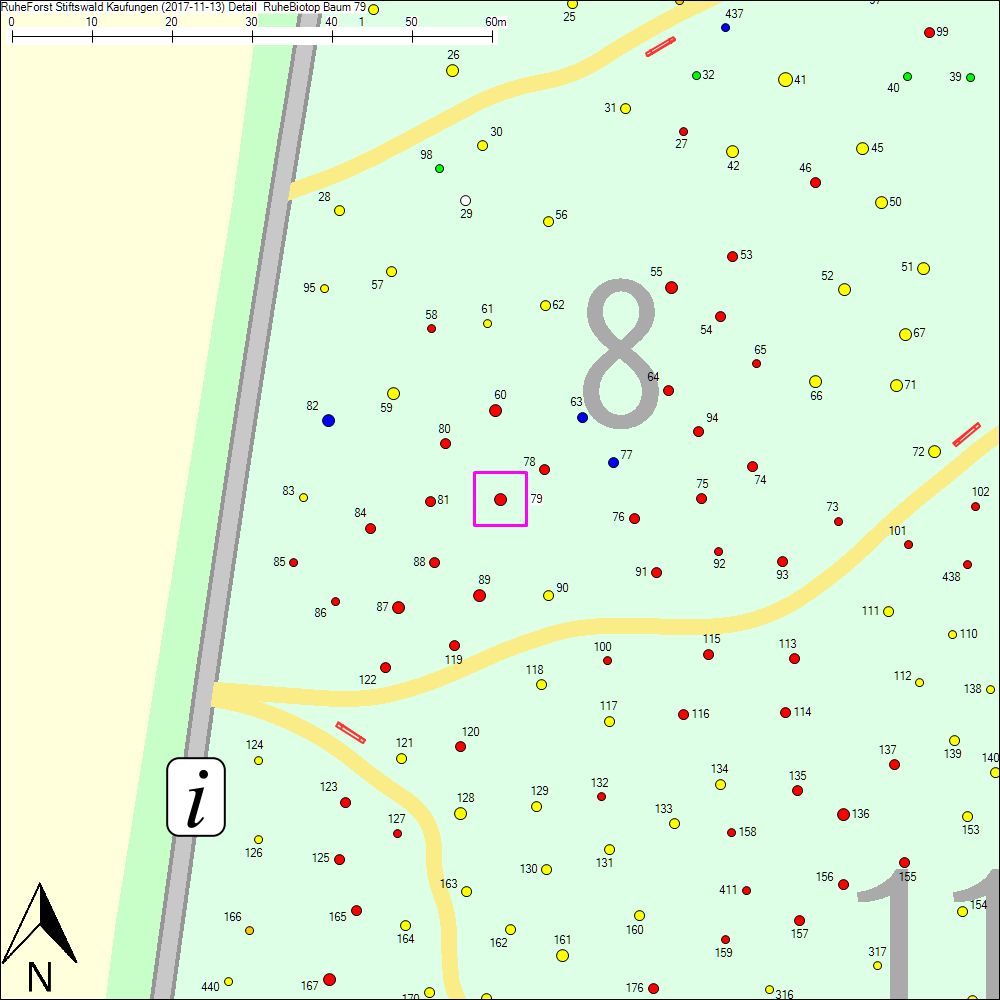 Detailkarte zu Baum 79