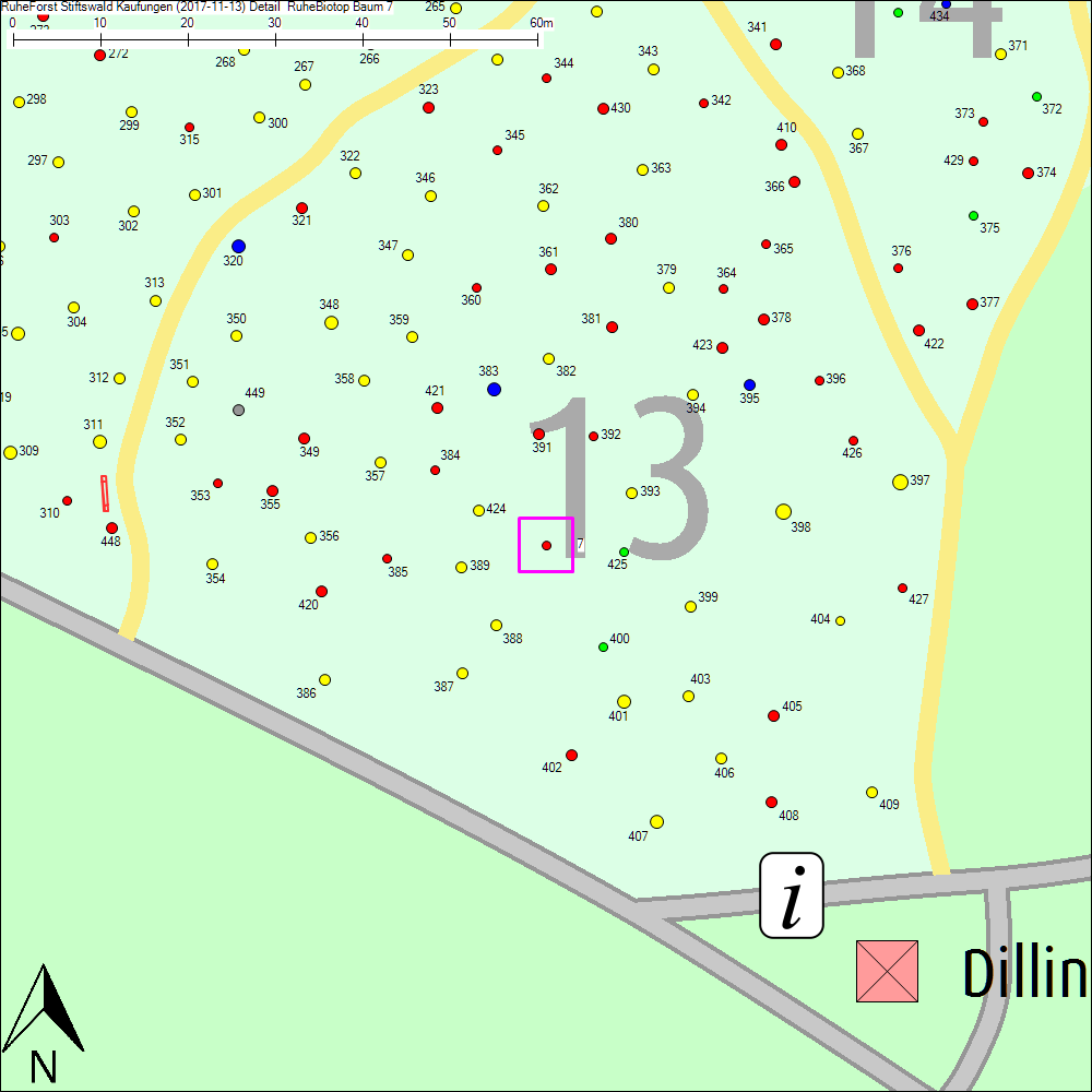 Detailkarte zu Baum 7