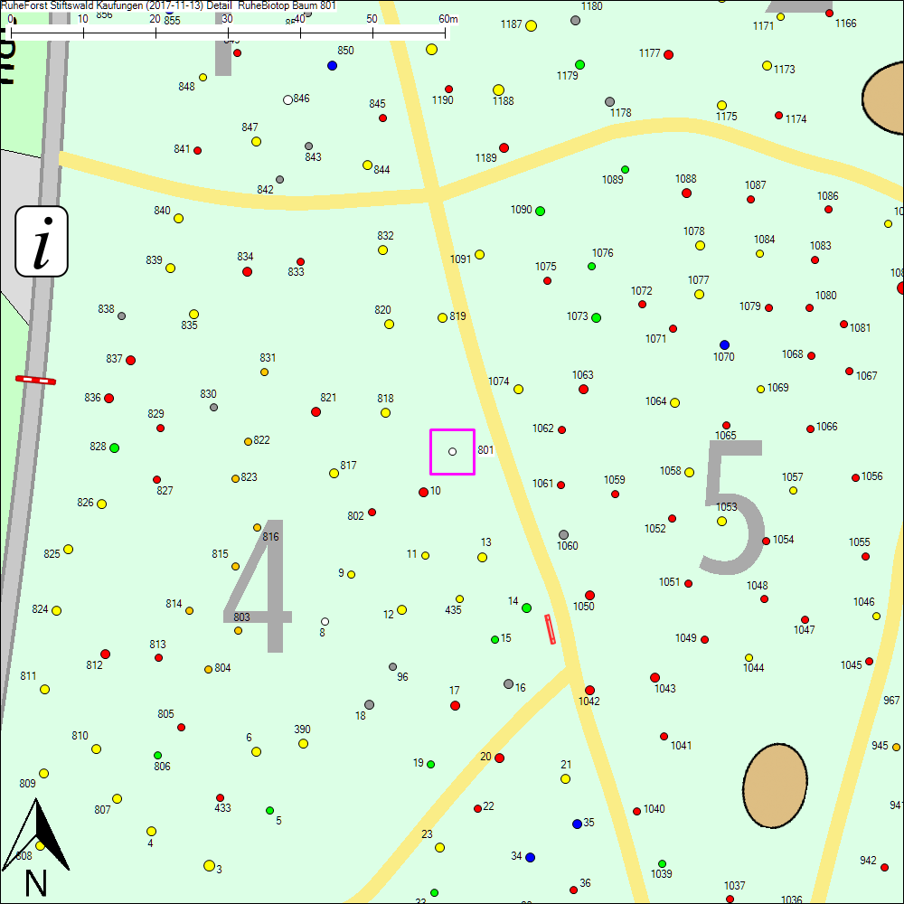 Detailkarte zu Baum 801