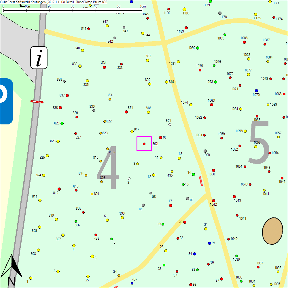Detailkarte zu Baum 802