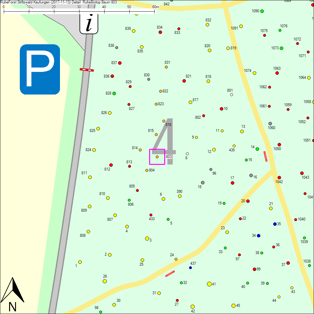 Detailkarte zu Baum 803