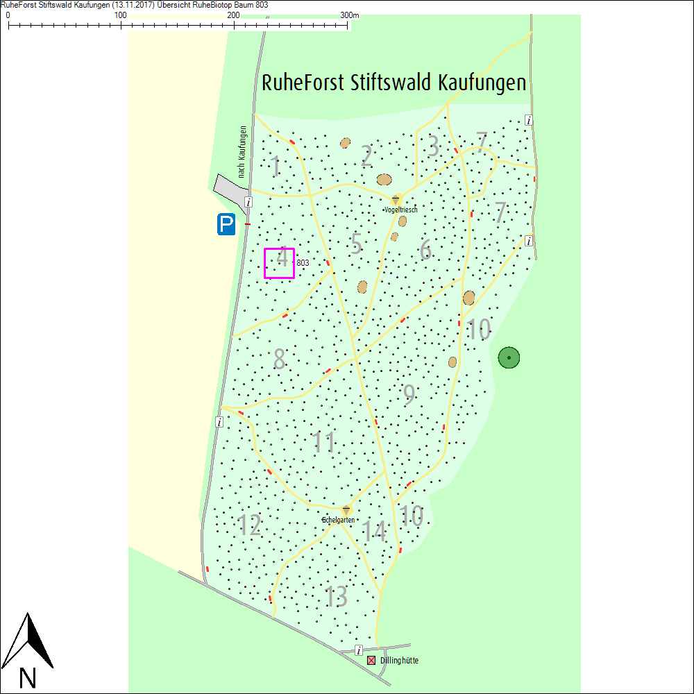 &Uuml;bersichtskarte zu Baum 803