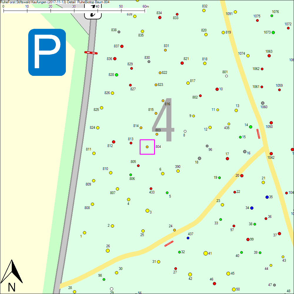 Detailkarte zu Baum 804
