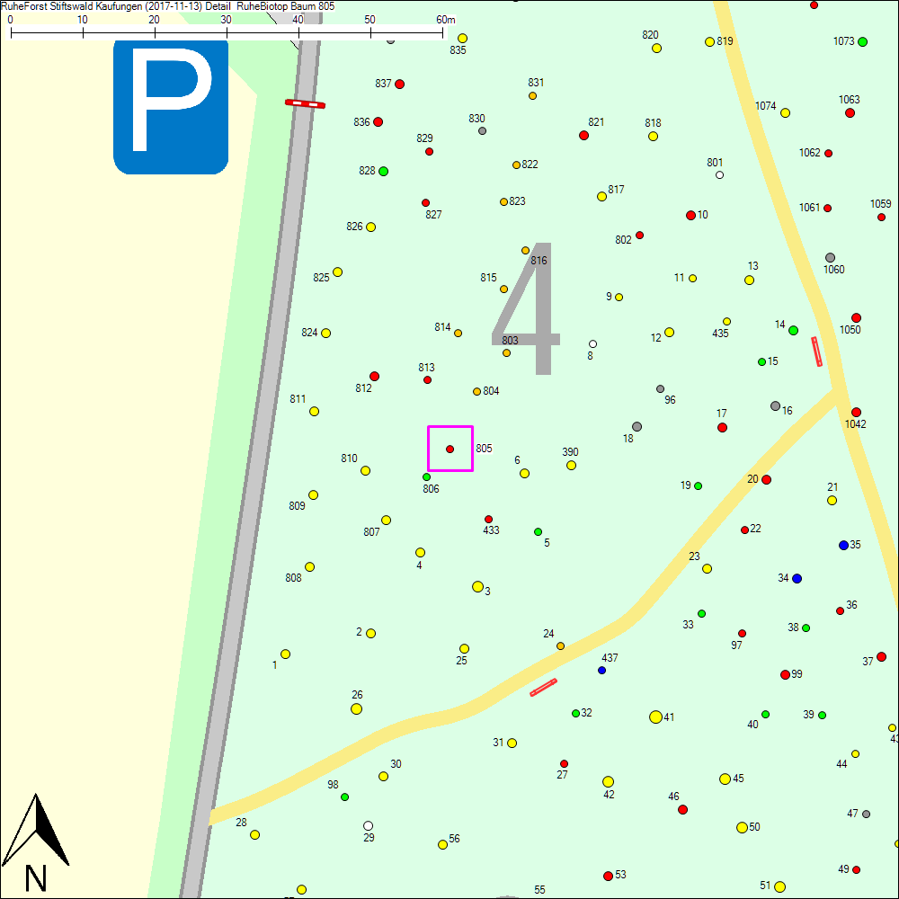 Detailkarte zu Baum 805