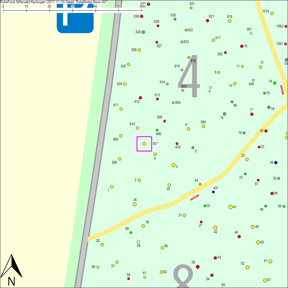 Detailkarte zu Baum 807