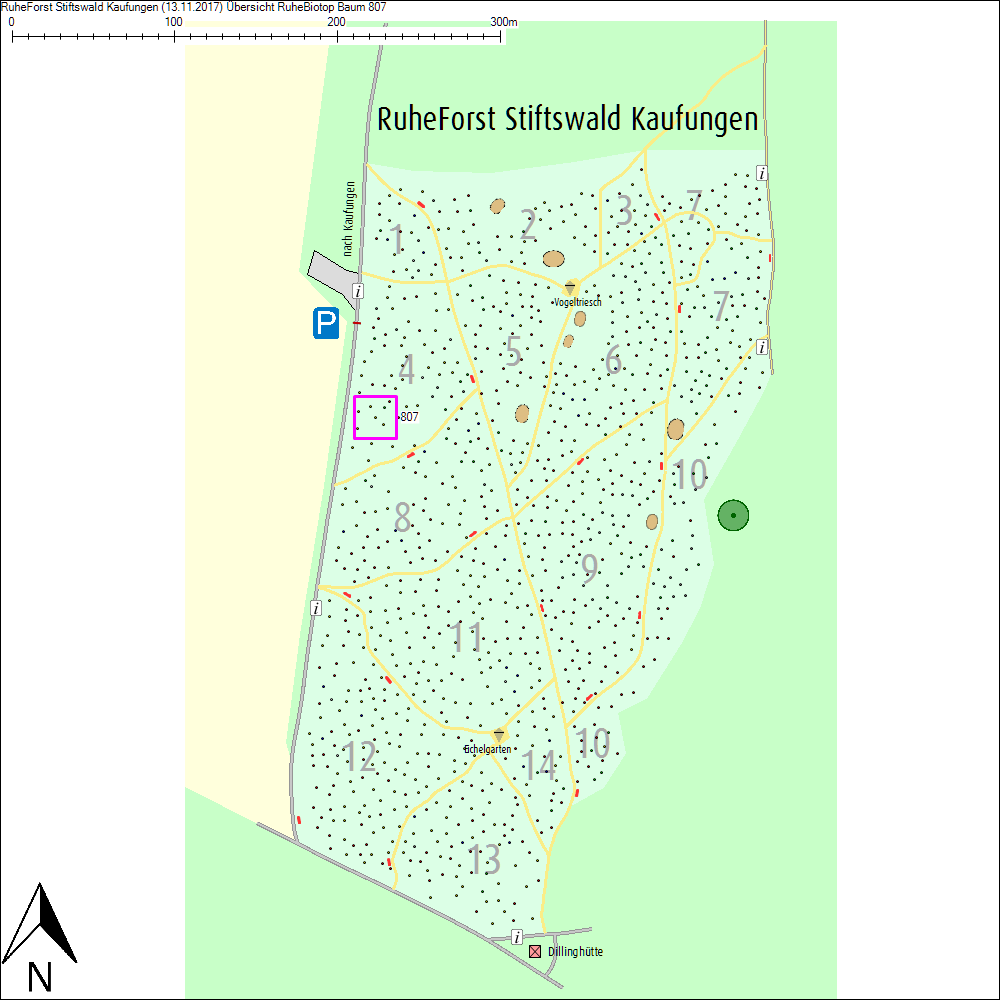 &Uuml;bersichtskarte zu Baum 807