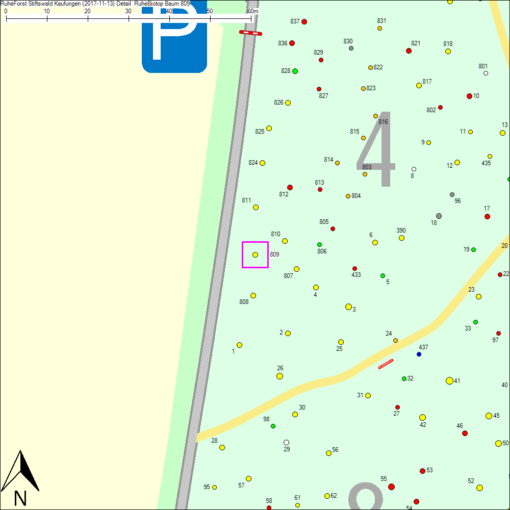 Detailkarte zu Baum 809