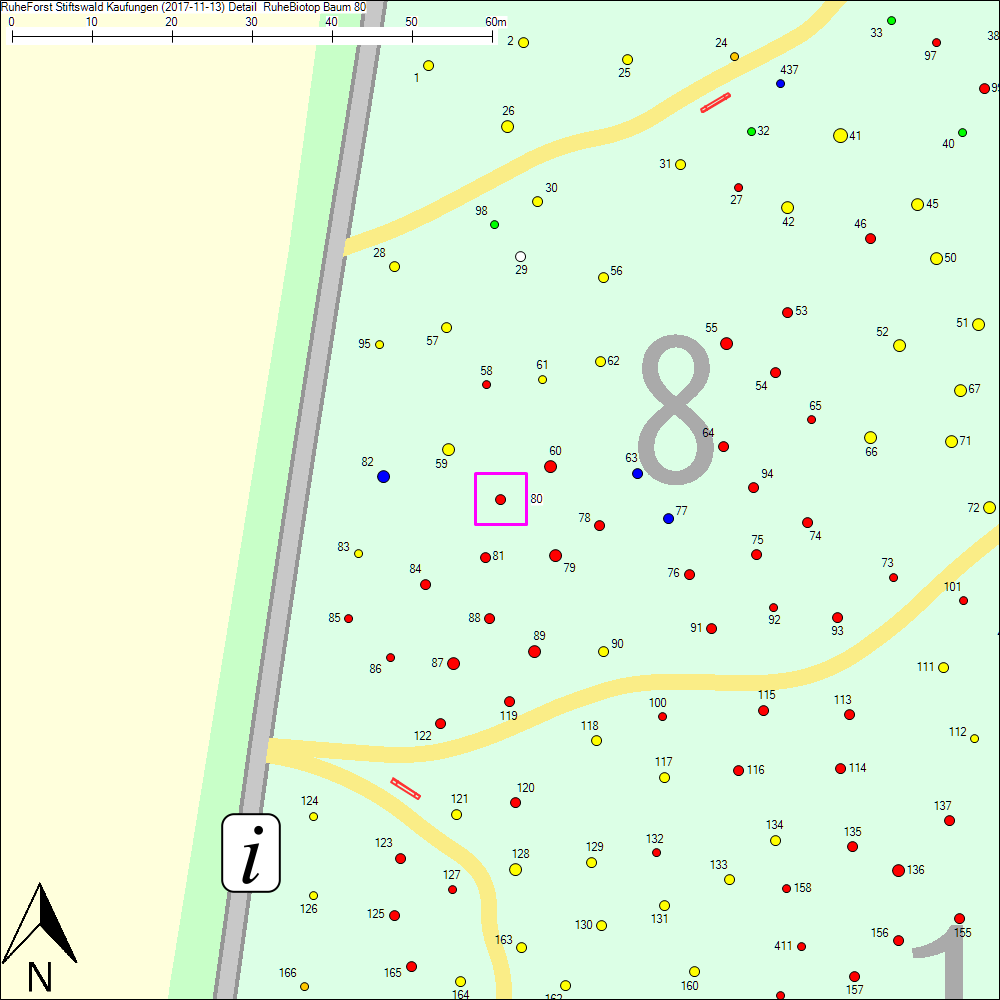 Detailkarte zu Baum 80