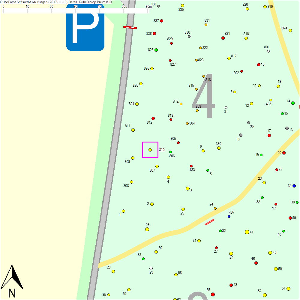 Detailkarte zu Baum 810