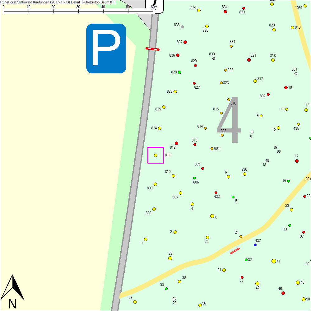 Detailkarte zu Baum 811