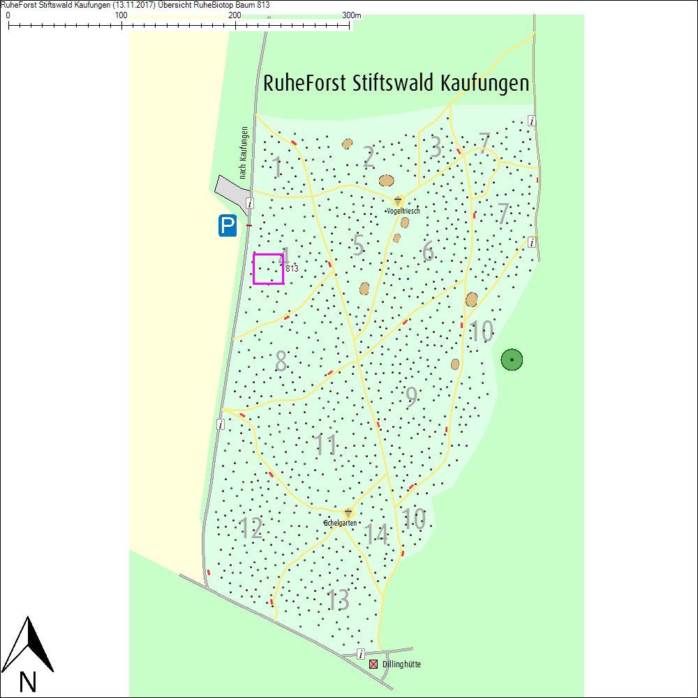 &Uuml;bersichtskarte zu Baum 813