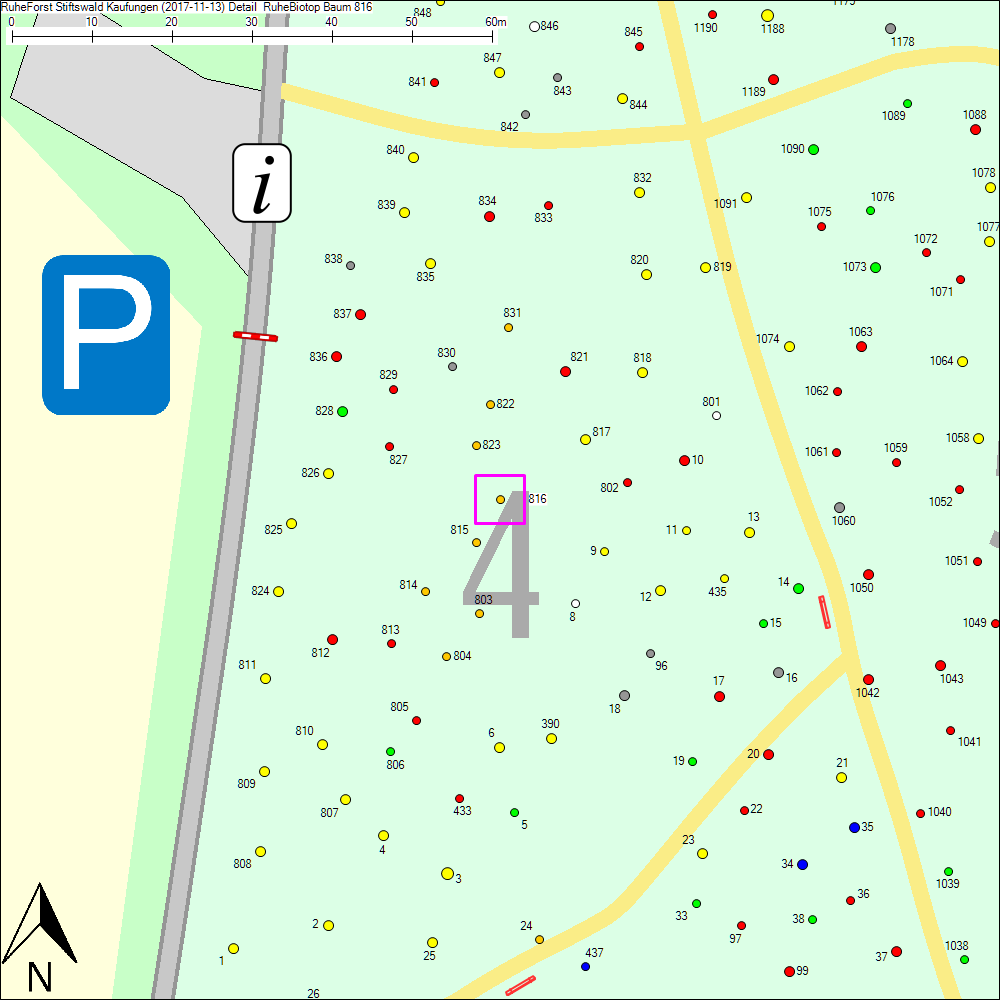 Detailkarte zu Baum 816
