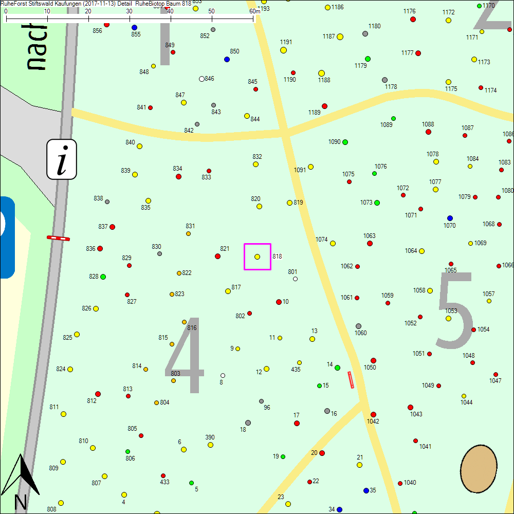 Detailkarte zu Baum 818