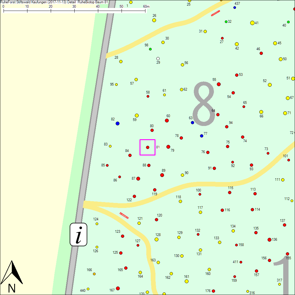 Detailkarte zu Baum 81