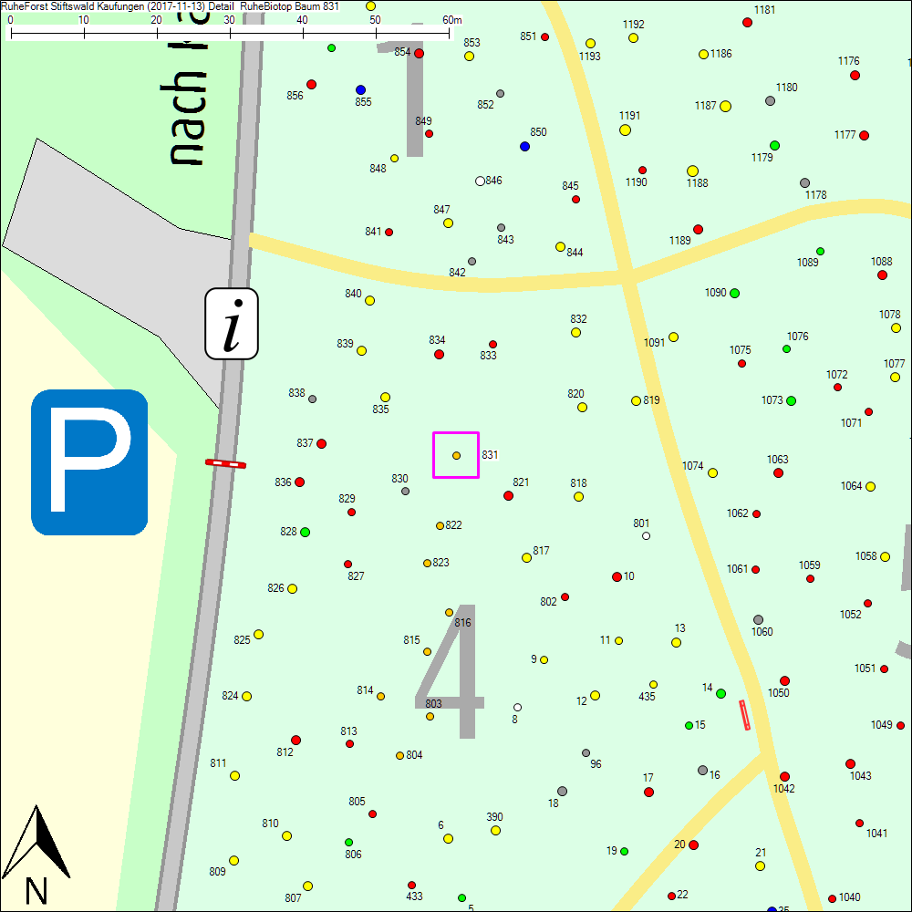 Detailkarte zu Baum 831