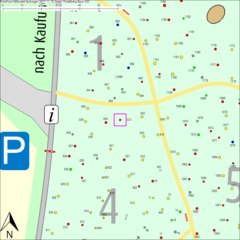 Detailkarte zu Baum 833