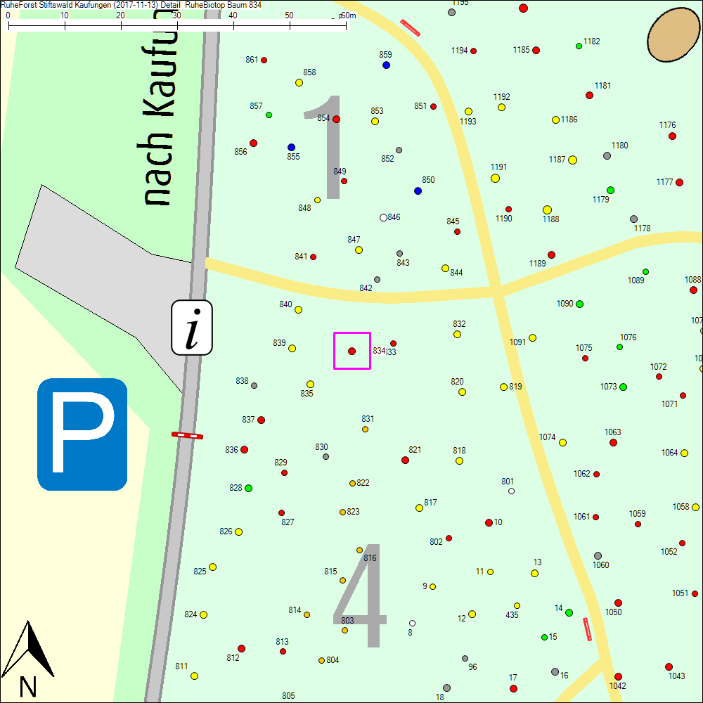 Detailkarte zu Baum 834