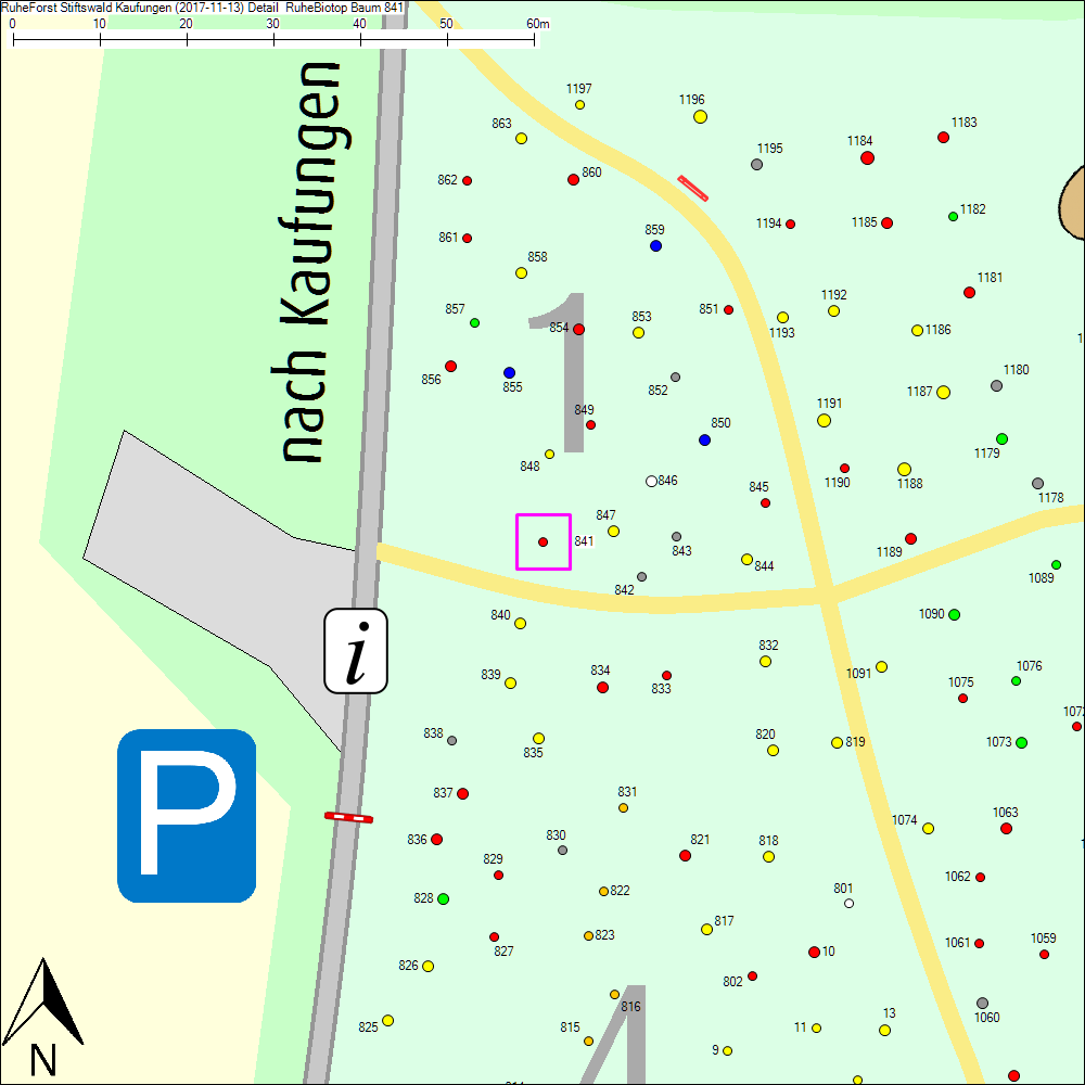 Detailkarte zu Baum 841