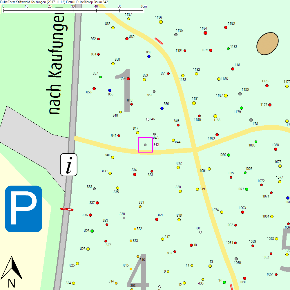 Detailkarte zu Baum 842