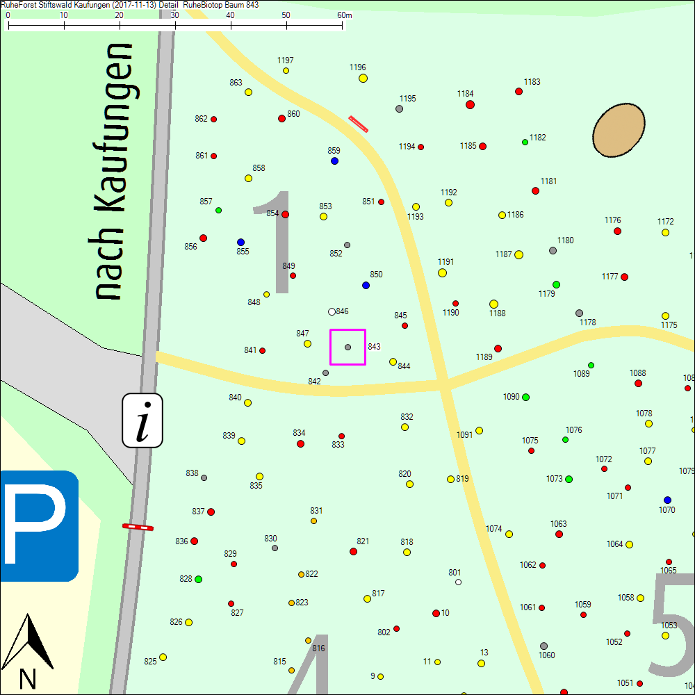 Detailkarte zu Baum 843