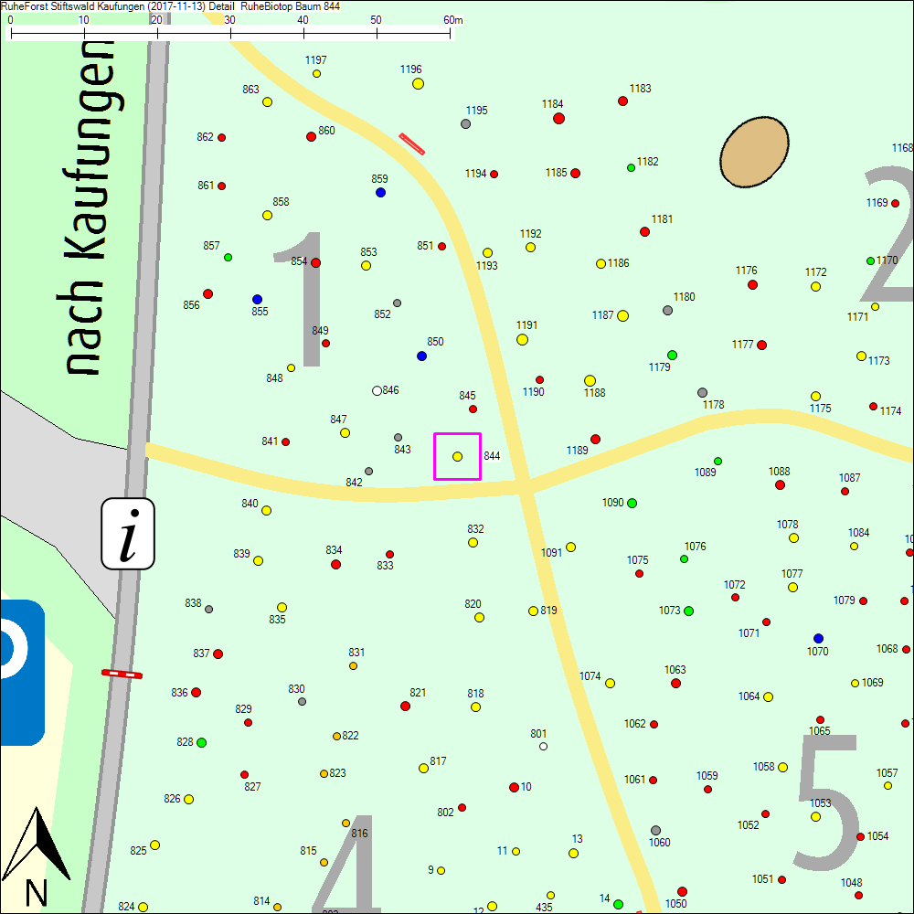Detailkarte zu Baum 844