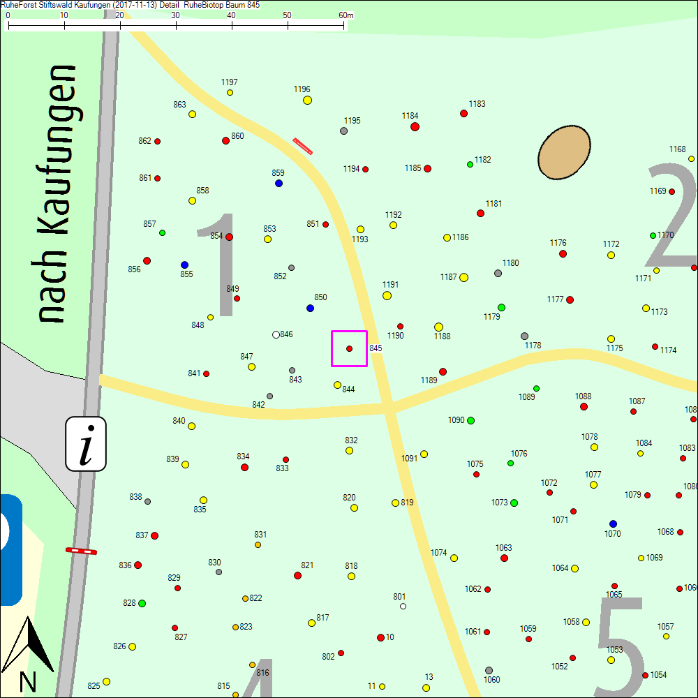 Detailkarte zu Baum 845