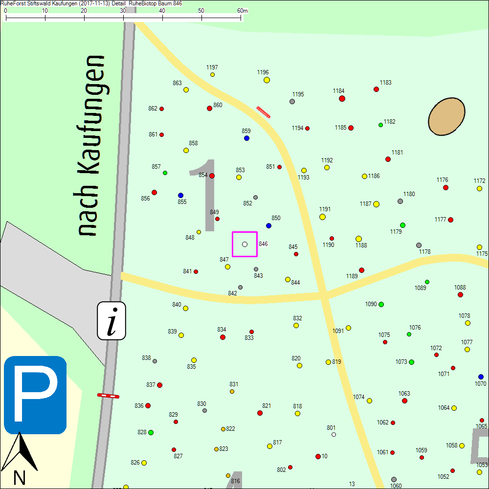 Detailkarte zu Baum 846