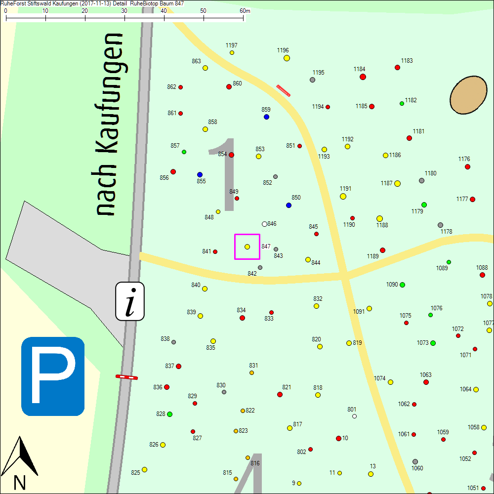 Detailkarte zu Baum 847
