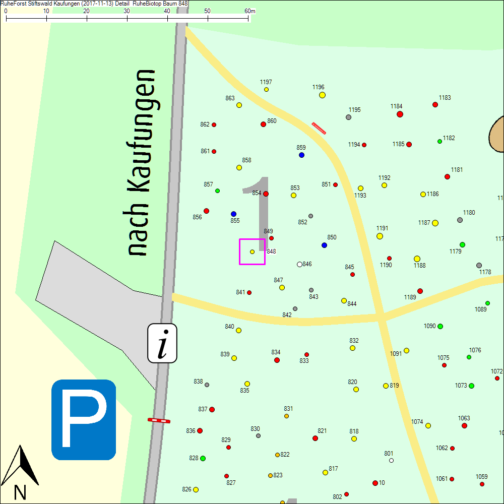 Detailkarte zu Baum 848