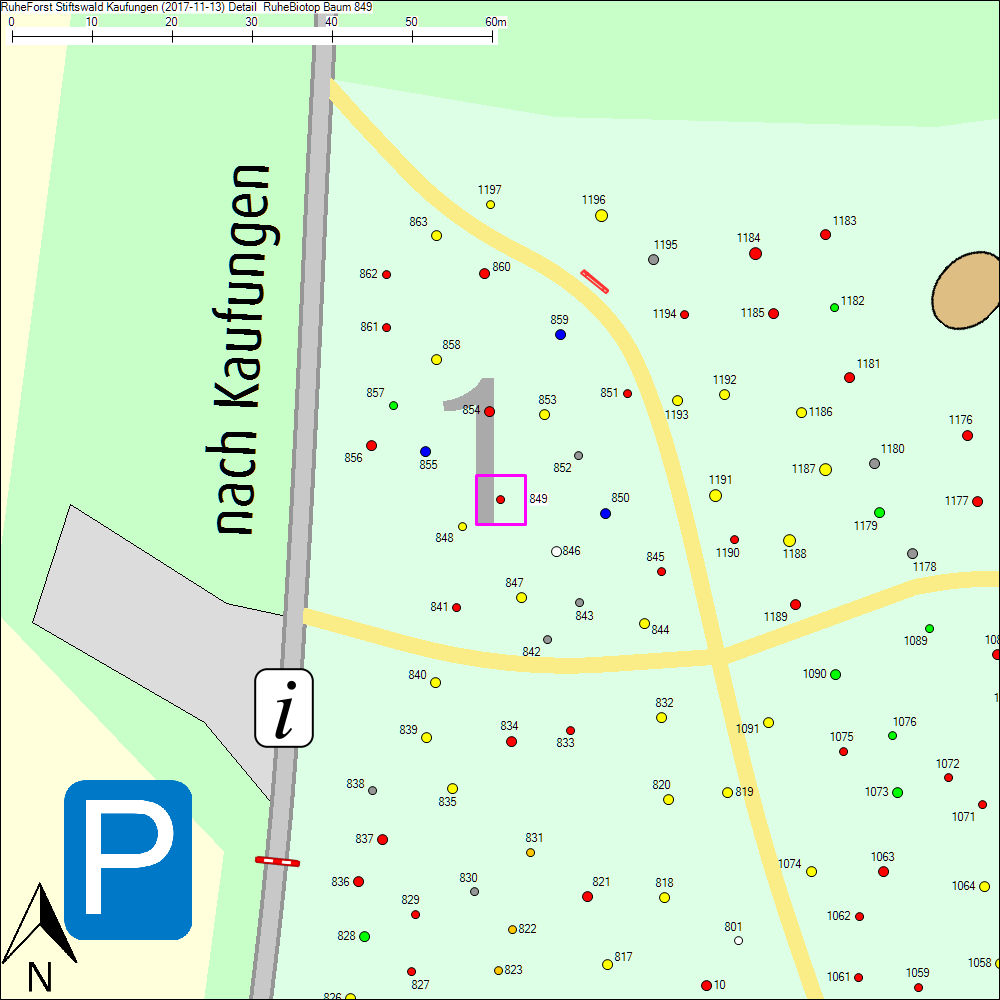 Detailkarte zu Baum 849