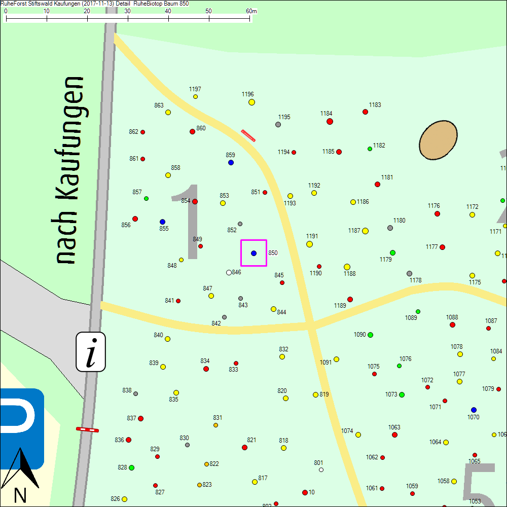 Detailkarte zu Baum 850