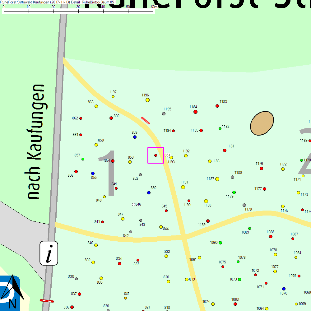 Detailkarte zu Baum 851