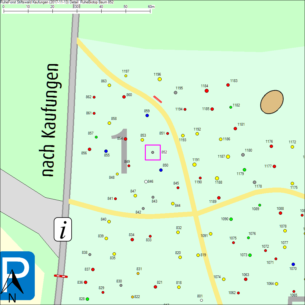 Detailkarte zu Baum 852