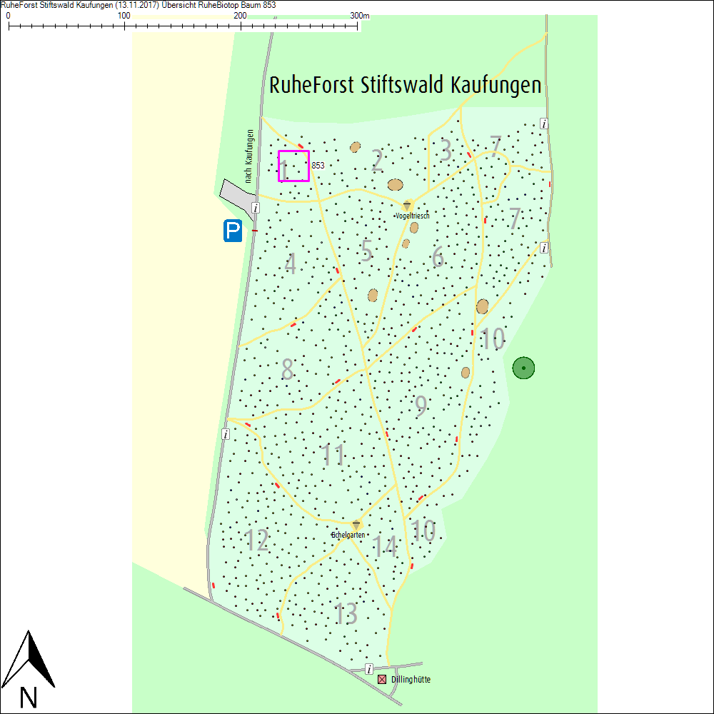 &Uuml;bersichtskarte zu Baum 853