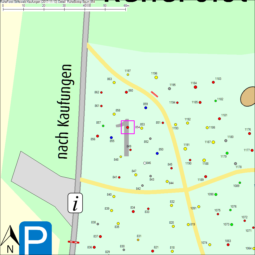 Detailkarte zu Baum 854