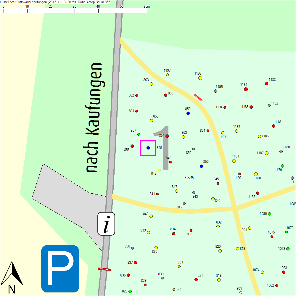 Detailkarte zu Baum 855