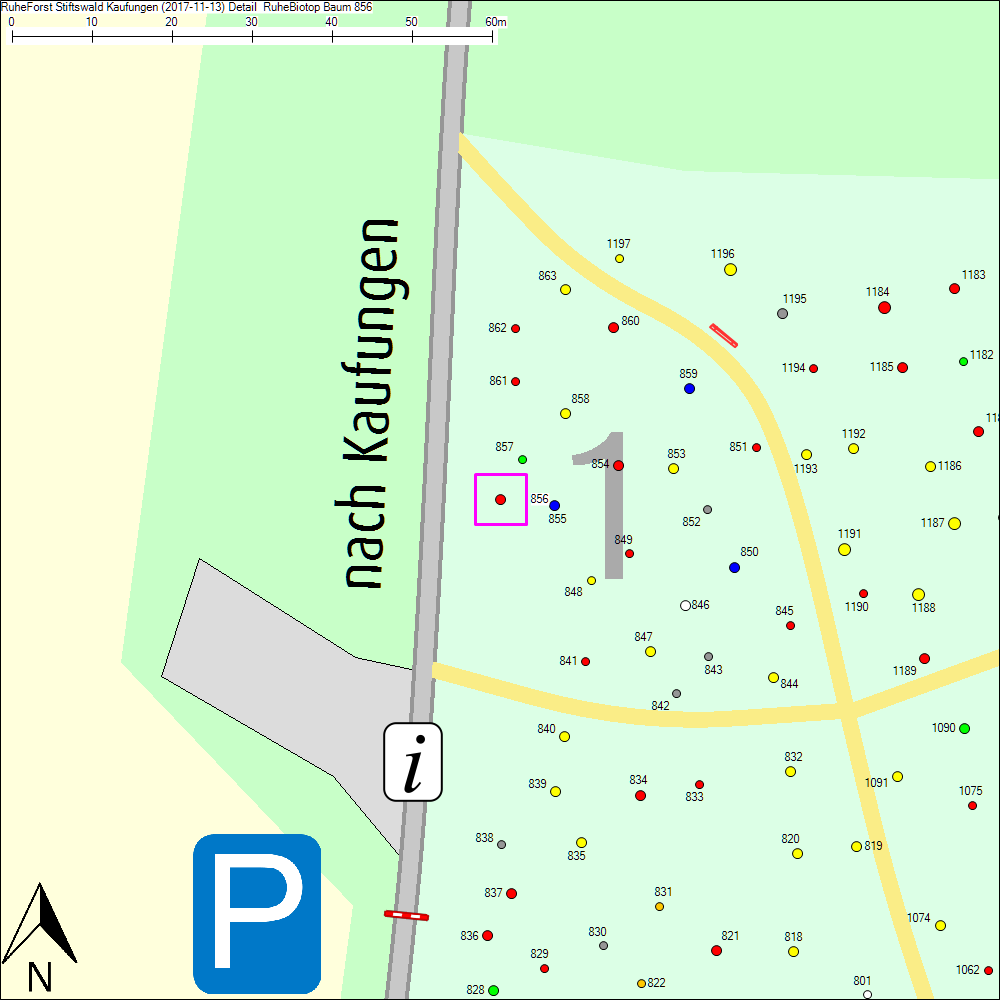 Detailkarte zu Baum 856
