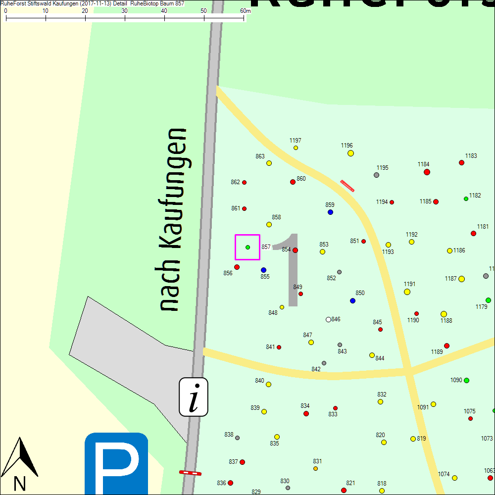 Detailkarte zu Baum 857
