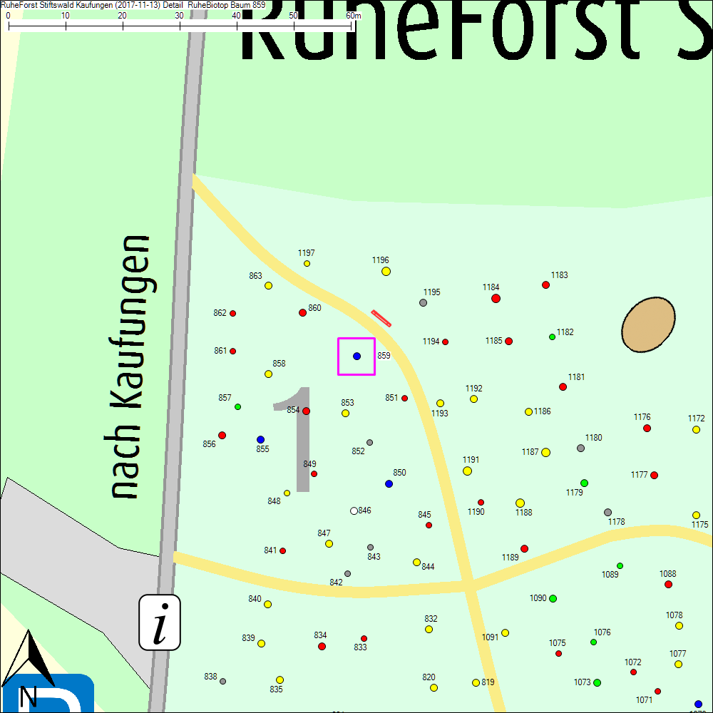 Detailkarte zu Baum 859