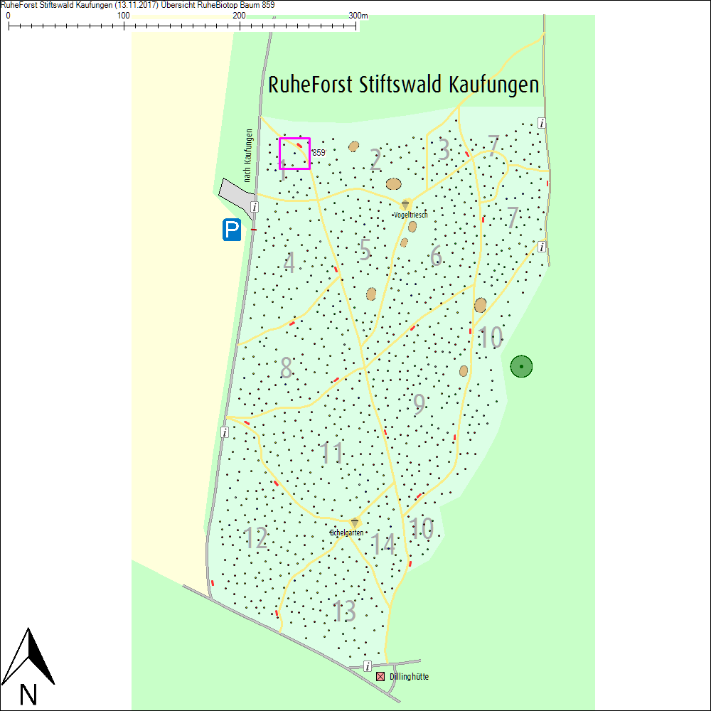 &Uuml;bersichtskarte zu Baum 859