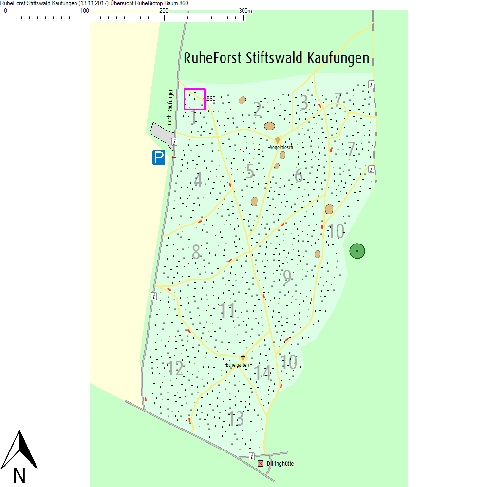 &Uuml;bersichtskarte zu Baum 860