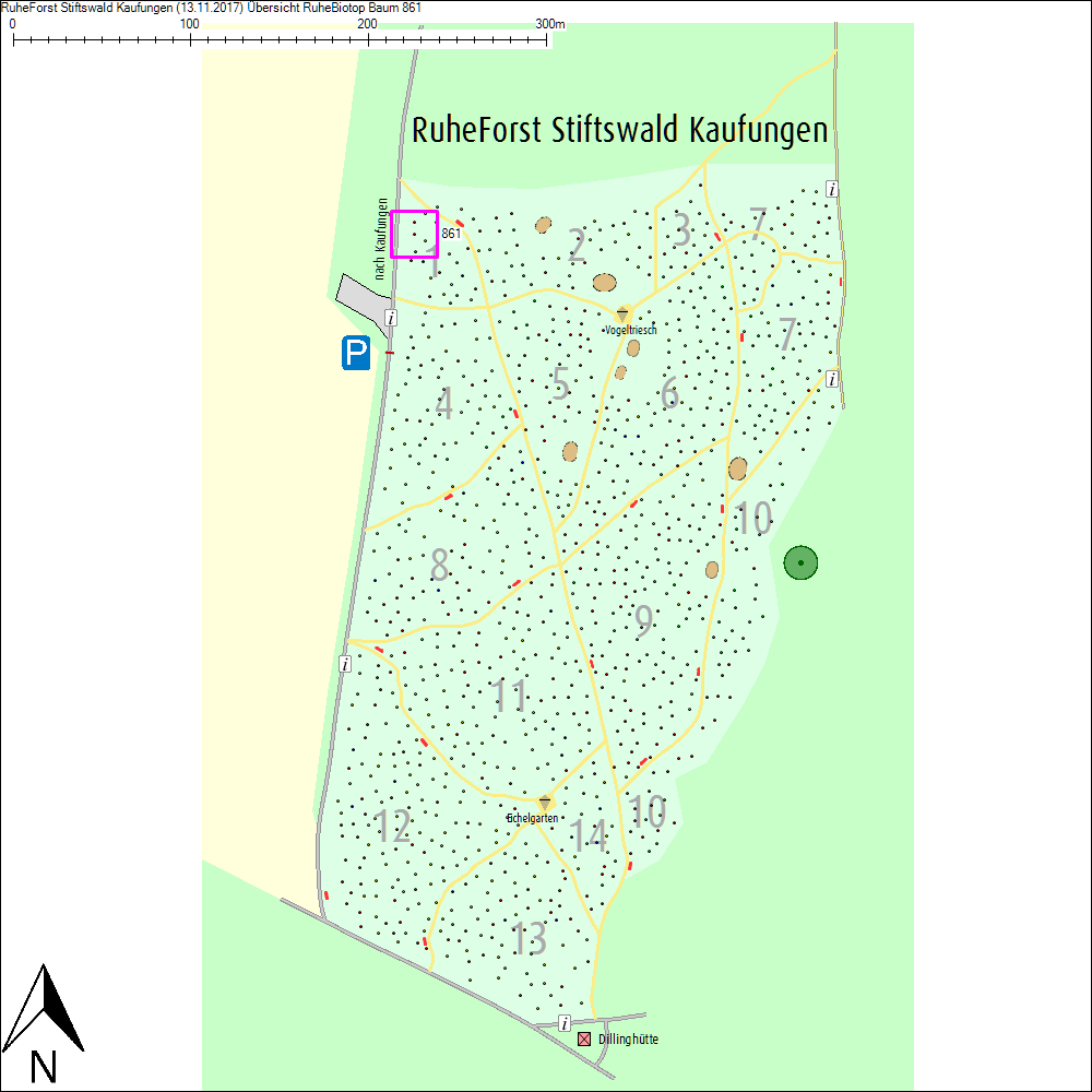 &Uuml;bersichtskarte zu Baum 861