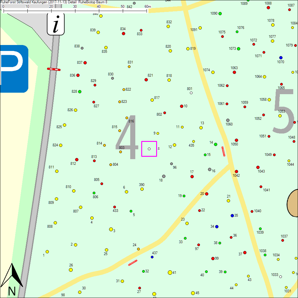 Detailkarte zu Baum 8